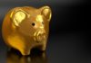 The 529 Savings Plan