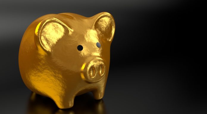 The 529 Savings Plan