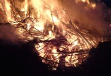 Amazon Burning