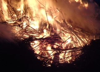Amazon Burning