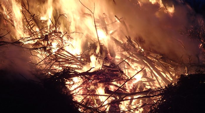 Amazon Burning
