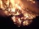 Amazon Burning