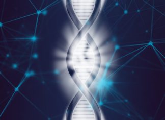 Gene Editing Tool Prime Editing could replace CRISPR