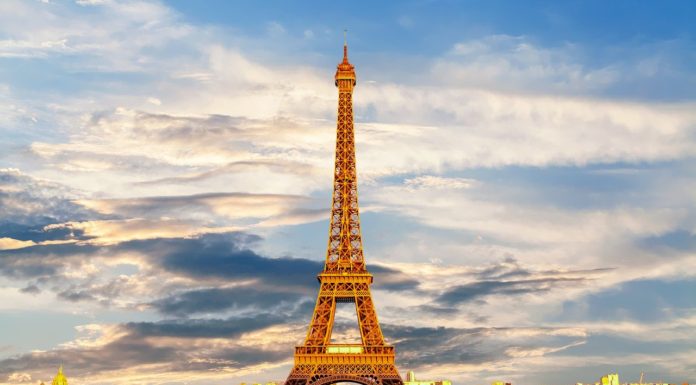 Strike Shuts Down France