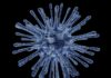 Measles Cases Surge Worldwide