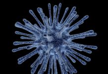 Measles Cases Surge Worldwide