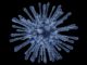 Measles Cases Surge Worldwide