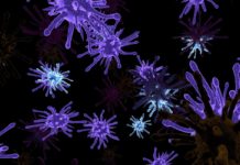 Deadly Coronavirus Spreads Through China