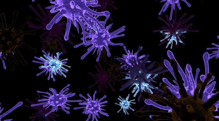 Deadly Coronavirus Spreads Through China