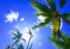 Joe Biden Wins Hawaii