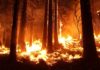 California Now In An Emergency State; 100,000 Ordered To Evacuate