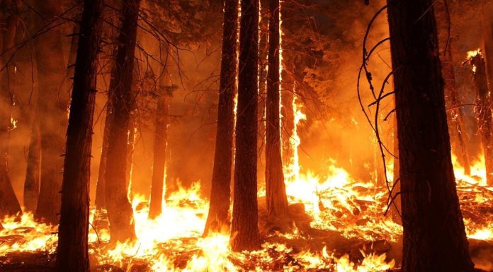 California Now In An Emergency State; 100,000 Ordered To Evacuate