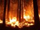 California Now In An Emergency State; 100,000 Ordered To Evacuate