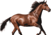 The 2020 Kentucky Derby