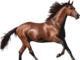 The 2020 Kentucky Derby