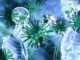 US Coronavirus Death Toll Tops 200K
