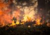 Oregon Wildfires Continue To Burn Out Of Control