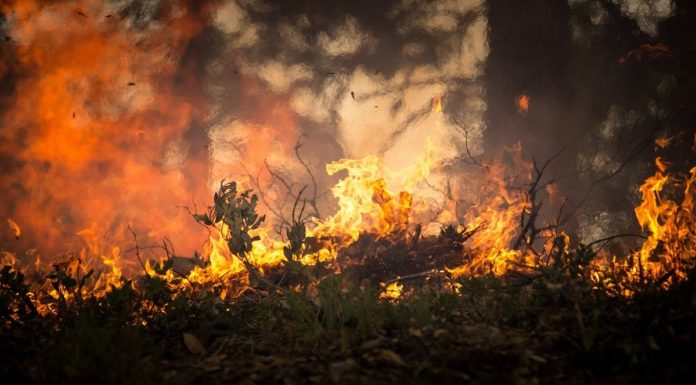 Oregon Wildfires Continue To Burn Out Of Control
