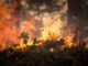 Oregon Wildfires Continue To Burn Out Of Control