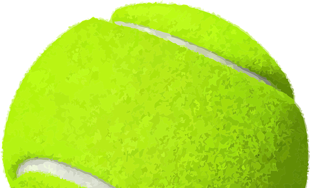 Naomi Osaka Wins 2021 Australian Open