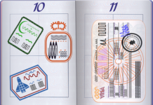 What Is A Vaccine Passport?