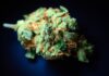 The $1.19 Billion Drug Bust