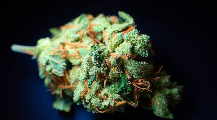 The $1.19 Billion Drug Bust