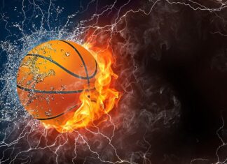 The 2021 NBA Champions