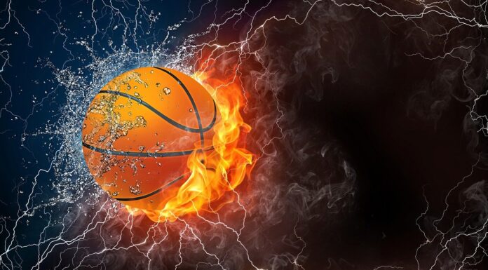 The 2021 NBA Champions