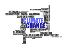 COP26