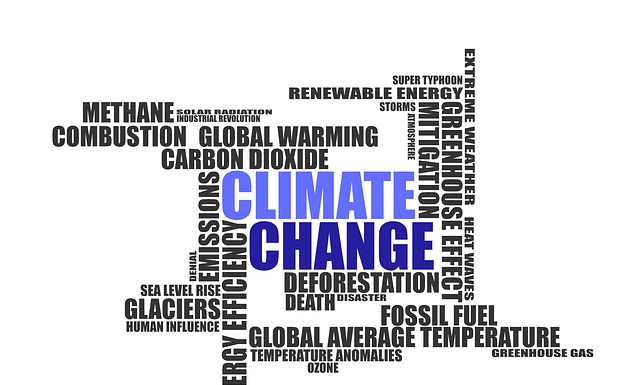 COP26