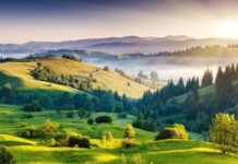 India’s 2070 Net Zero Emissions Goal