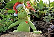 Grinch Bots Are Out Shopping Christmas Shoppers