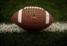 Georgia, The College Football National Champions