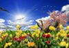 The Sunshine Protection Act