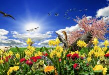 The Sunshine Protection Act
