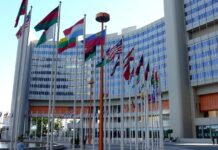 Article 51 Of the United Nations Charter (UNSC)