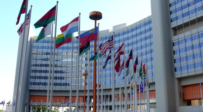 Article 51 Of the United Nations Charter (UNSC)