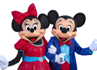 Disney Loses Self Governing Status In Florida