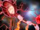 The Rosehip Neuron In The Human Brain