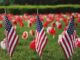 Celebrating Memorial Day