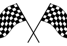 Marcus Ericsson The 2022 Indianapolis 500 Champion