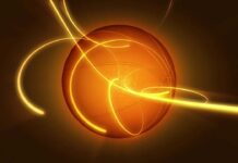 The 2022 NBA Champions