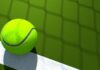 Novak Djokovic The 2022 Wimbledon Champion