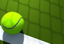 Novak Djokovic The 2022 Wimbledon Champion