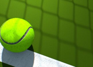 Novak Djokovic The 2022 Wimbledon Champion