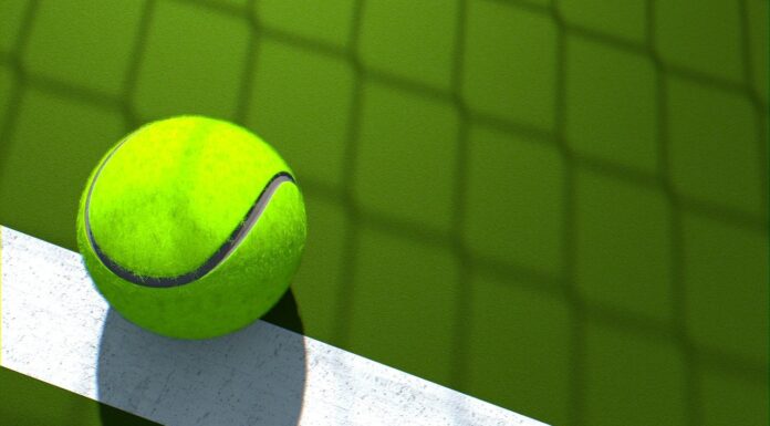 Novak Djokovic The 2022 Wimbledon Champion