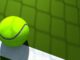 Novak Djokovic The 2022 Wimbledon Champion