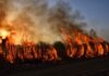 Summer Wildfires Continue To Run Rampant In the US