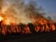 Summer Wildfires Continue To Run Rampant In the US